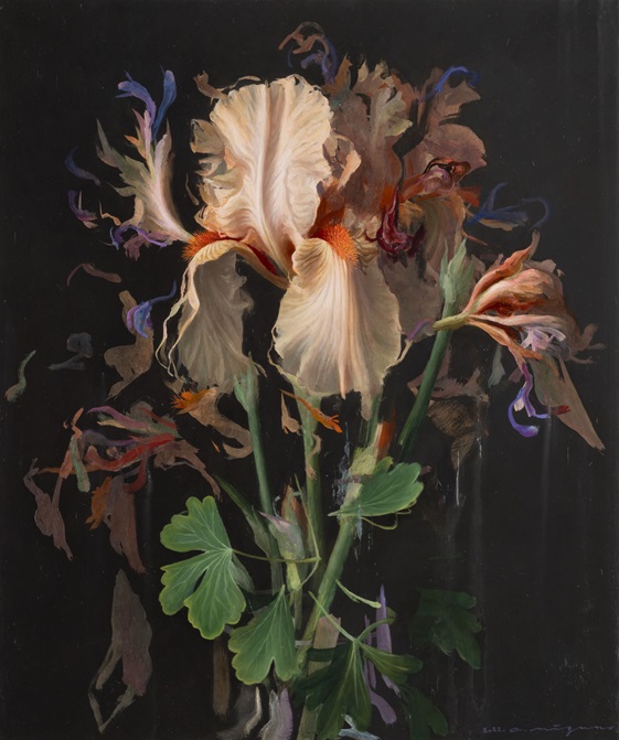 Illusion of Growth 2